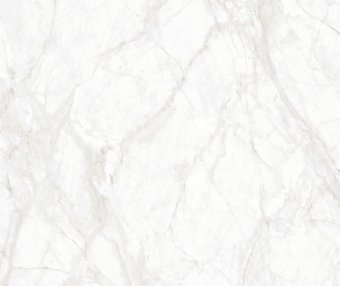 我看到的是凤凰吗？