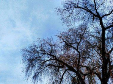 失魂落魄，投胎为兔的小年轻