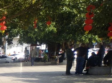 小公园灵物(三)