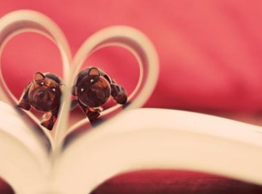 地府爱情故事：一只男鬼的传奇经历