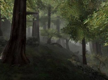 真实经历——一家三口死于非命凶手竟是一棵树？