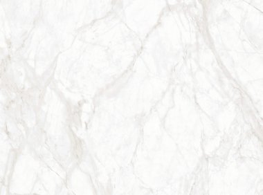 我看到的是凤凰吗?