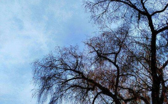 失魂落魄,投胎为兔的小年轻