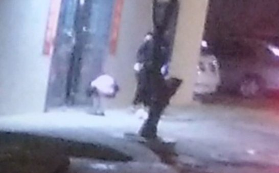 大年三十怪照两幅