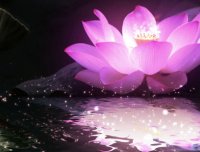 邯郸神灵异事(5):五朵莲花和三个火球