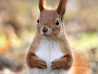 东北异事——我和表弟的一段神奇经历