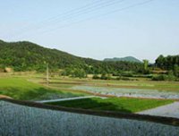 小鬼缠身，堂姐夫逢凶化吉