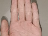 有没有大师可以帮我看看手相？谢谢