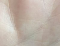 手相：这是凤尾纹吗