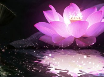 邯郸神灵异事(5):五朵莲花和三个火球