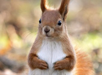 东北异事——我和表弟的一段神奇经历