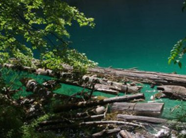 小时候落水被棺材板救起!