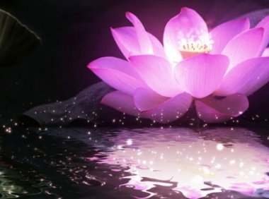 邯郸神灵异事(5)：五朵莲花和三个火球