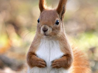 东北异事——我和表弟的一段神奇经历