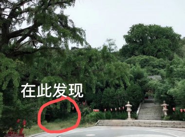 在“圣水观”修炼的精怪