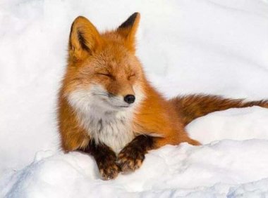 盖房动土引来邪灵