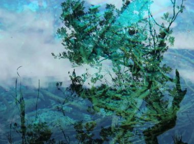 从小到大我的各式各样稀奇古怪的梦