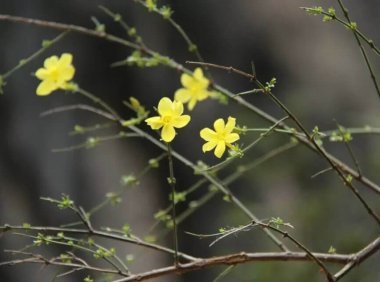 随感：人在不知不觉中都会改变一些习惯