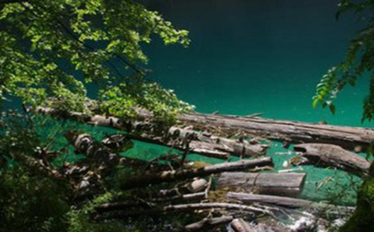 小时候落水被棺材板救起!