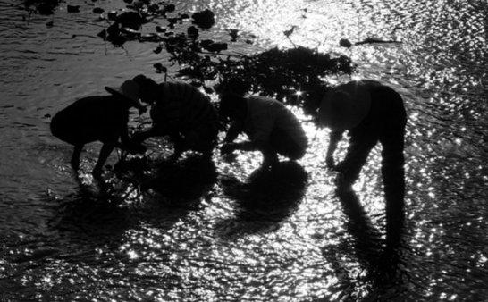 农村怪谈之夜晚捉鱼的小孩