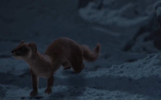 黄大仙报恩:你养我三年,我守护你三十年!