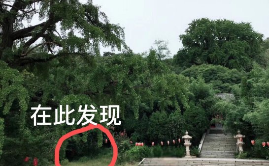 在“圣水观”修炼的精怪