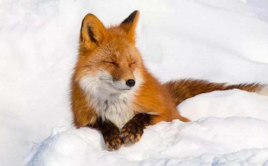 盖房动土引来邪灵