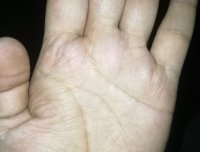 有真会看的吗？帮忙看下手相