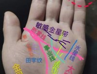 手相实例解读:鬼手掌相,集各种经典掌纹于一手的奇人