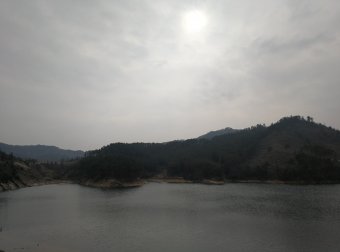 淹死的人身上留有爪印