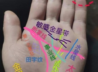 手相实例解读:鬼手掌相,集各种经典掌纹于一手的奇人