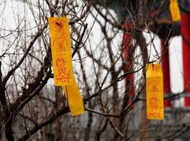 是因果 还是报应