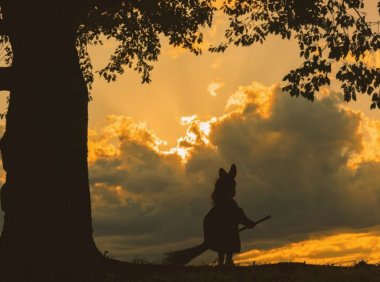 校园里的鬼影迷”墙”真正的完结