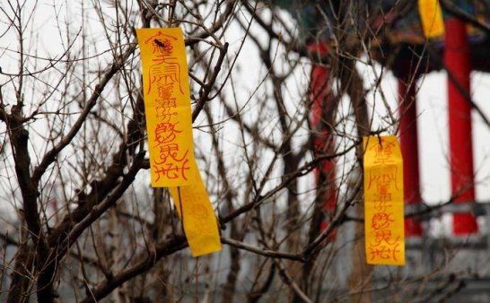 是因果 还是报应