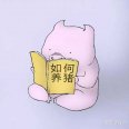 罗密欧和猪过夜