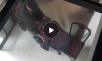 真实经历,长辈们的离世