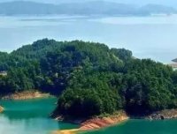 迁坟风水导致的病事