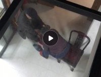 真实经历,长辈们的离世