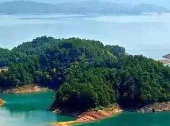 迁坟风水导致的病事