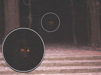 Anansi’s Goatman Story(亚南希地区山羊人故事)