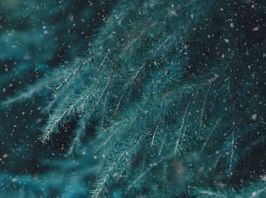 突然想起两件事,分享下