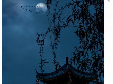 【解压短故事系列①】“坐起来”的老前辈