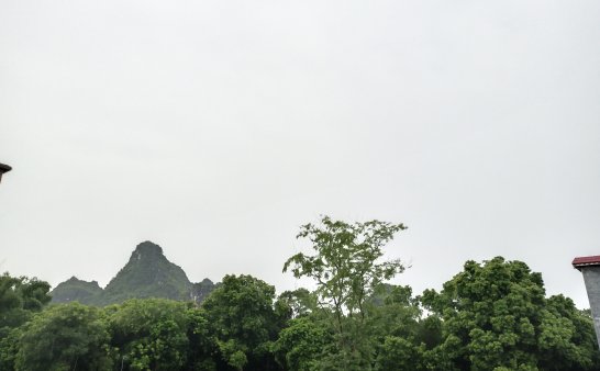 我跟“他”它带走了“他”