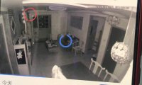 监控视频显示一个白色小纸人