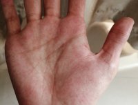 求大佬帮看手相