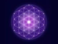 (感悟)二元一元……祈福与科博拉信息