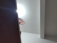 写在这里,看看能不能找到一个信的
