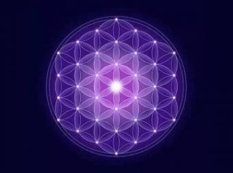 (感悟)二元一元……祈福与科博拉信息