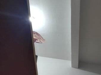 写在这里,看看能不能找到一个信的