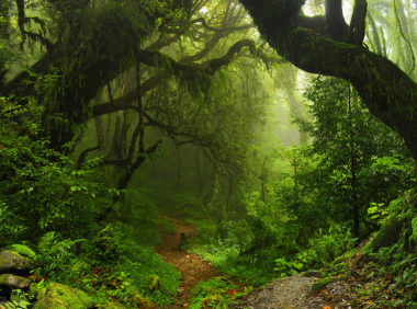 不信邪的老高头。。。